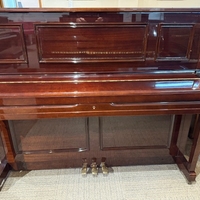 Young Chang E118 Young Chang E118