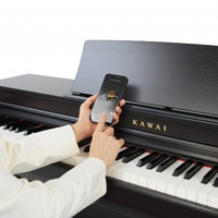 Kawai CN-201 Digital Piano.