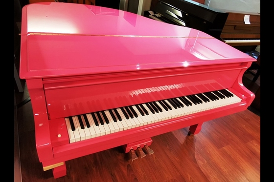 Other Makes Of Grand Pianos