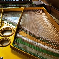 Bechstein Model 'A' Satin reconditioned Grand Piano