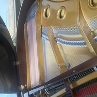 Reid Sohn 148 Reid Sohn 148