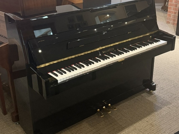 Waldstein 108DI