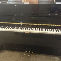 Waldstein 108DI Waldstein 108DI